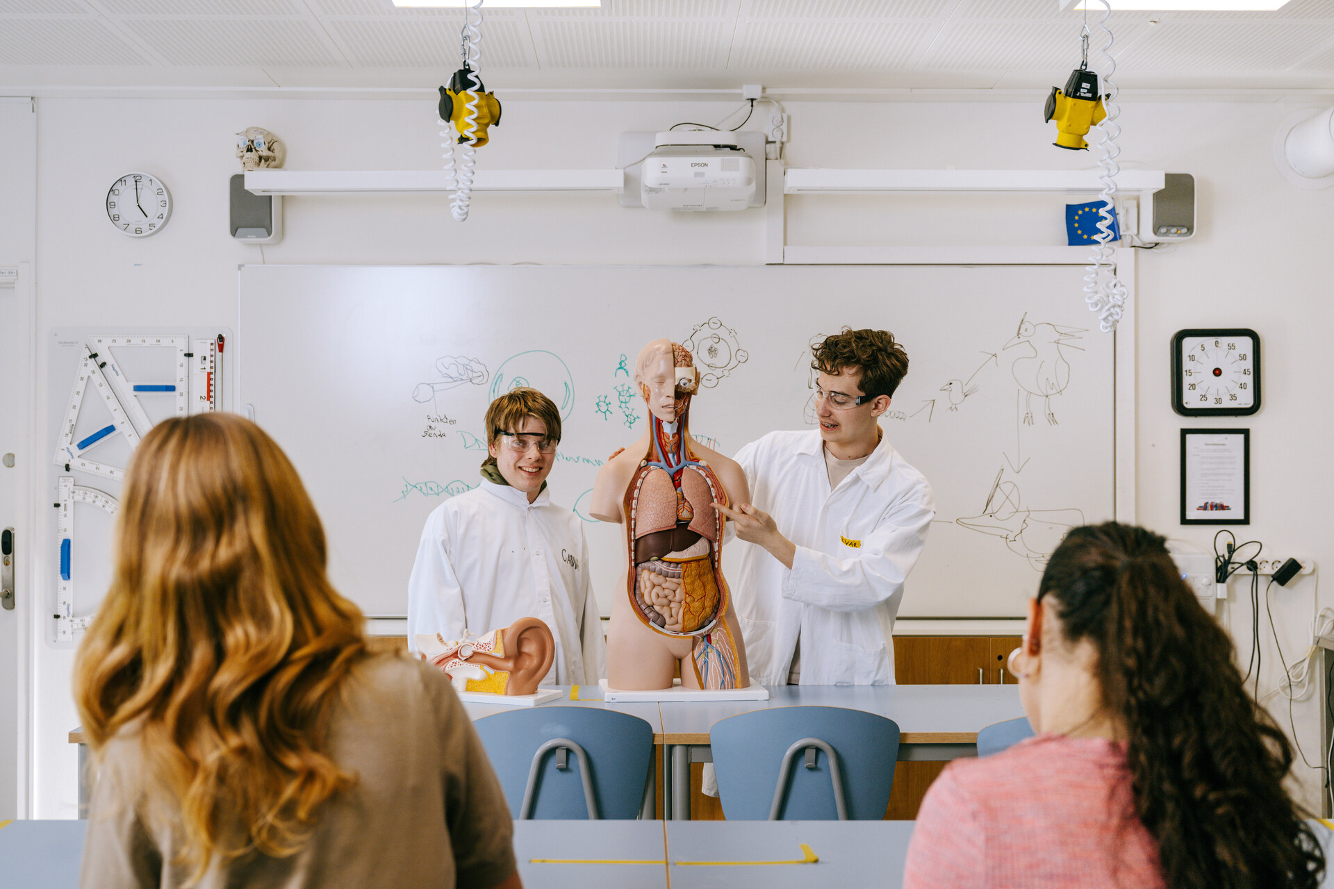 Elever genomför en biologilektion och presenterar en anatomimodell i ett klassrum i Expandias modullösning på Ekens skola i Hammarby Sjöstad.